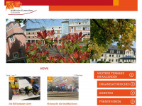 gymnasiumeschweiler.de Webseite Vorschau
