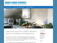 haas-euro-service.de Webseite Vorschau
