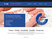 hassmann-kunststoffe.de Webseite Vorschau