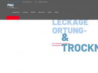 proclean-bottrop.de Webseite Vorschau