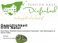 haus-diefenbach.de Webseite Vorschau