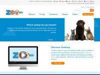 zooeasy.com Webseite Vorschau