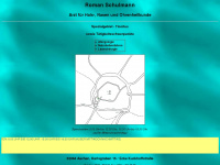 hno-schulmann.de Webseite Vorschau