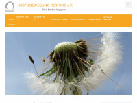 hospiz-herford.de Webseite Vorschau