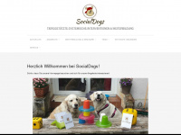 socialdogs.de Webseite Vorschau
