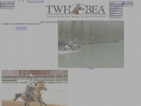 twhbea.com Webseite Vorschau