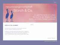 storch-und-co.de Webseite Vorschau