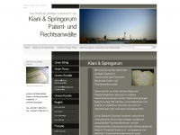 kianispringorum.de Webseite Vorschau