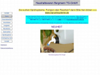 bergmann-tg.de Webseite Vorschau