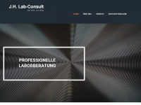 lab-consult.de Webseite Vorschau