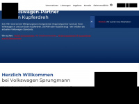 leo-sprungmann.de Webseite Vorschau