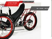 steintrikes.com Webseite Vorschau