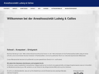 ludwig-callies.com Webseite Vorschau