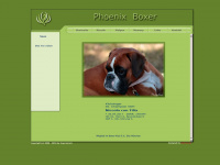 phoenix-boxer.de Webseite Vorschau