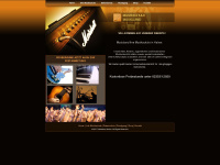 musiclandshop.de Webseite Vorschau