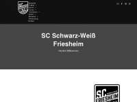 scfriesheim.de Webseite Vorschau