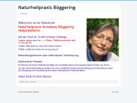 naturheilpraxis-boeggering.de Webseite Vorschau