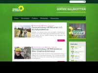 gruene-salzkotten.de Webseite Vorschau
