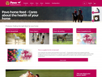 pavohorses.co.uk Webseite Vorschau