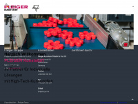 pleiger-kunststoff.de Webseite Vorschau
