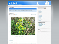 minisail.com Webseite Vorschau