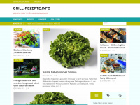 grill-rezepte.info Webseite Vorschau