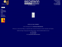 riechmann-elektrotechnik.de Webseite Vorschau