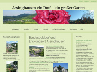 assinghausen-live.de Webseite Vorschau