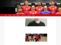 re-handball.de Webseite Vorschau