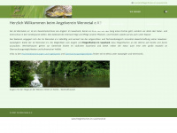 fliegenfischen-im-sauerland.de Webseite Vorschau