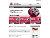 netinf.pl Webseite Vorschau