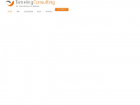 Tameling-consulting.de