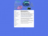 meerwasseronlineshop.de Webseite Vorschau