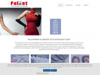 textilpflege-felmet.de Webseite Vorschau