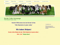 border-collie.biz Webseite Vorschau