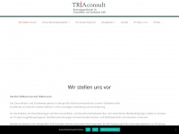triaconsult.de Webseite Vorschau