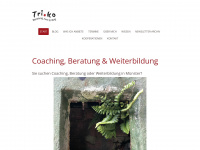 triko-brandes.de Webseite Vorschau