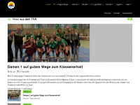 tva-volleyball.de Webseite Vorschau