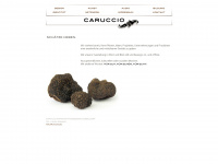 caruccio.de Webseite Vorschau