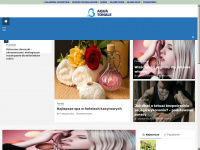 katalog.vdns.pl Webseite Vorschau