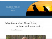blueeye-web.de Webseite Vorschau