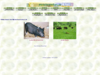 minischweinchen.de Webseite Vorschau