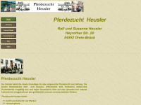 heusler-brueck.de Webseite Vorschau