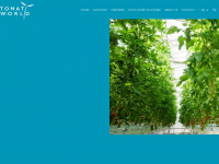 tomatoworld.nl Webseite Vorschau