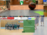 handball-ruwertal.de Webseite Vorschau