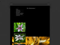 orchideenzauber.de Webseite Vorschau