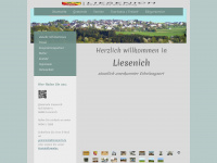 liesenich.de Webseite Vorschau