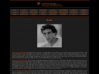 ayrtonsenna.at Webseite Vorschau