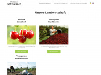 obstbauerschwalbach.de Webseite Vorschau