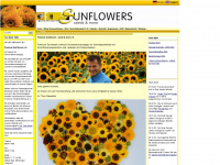 premium-sunflowers.de Webseite Vorschau